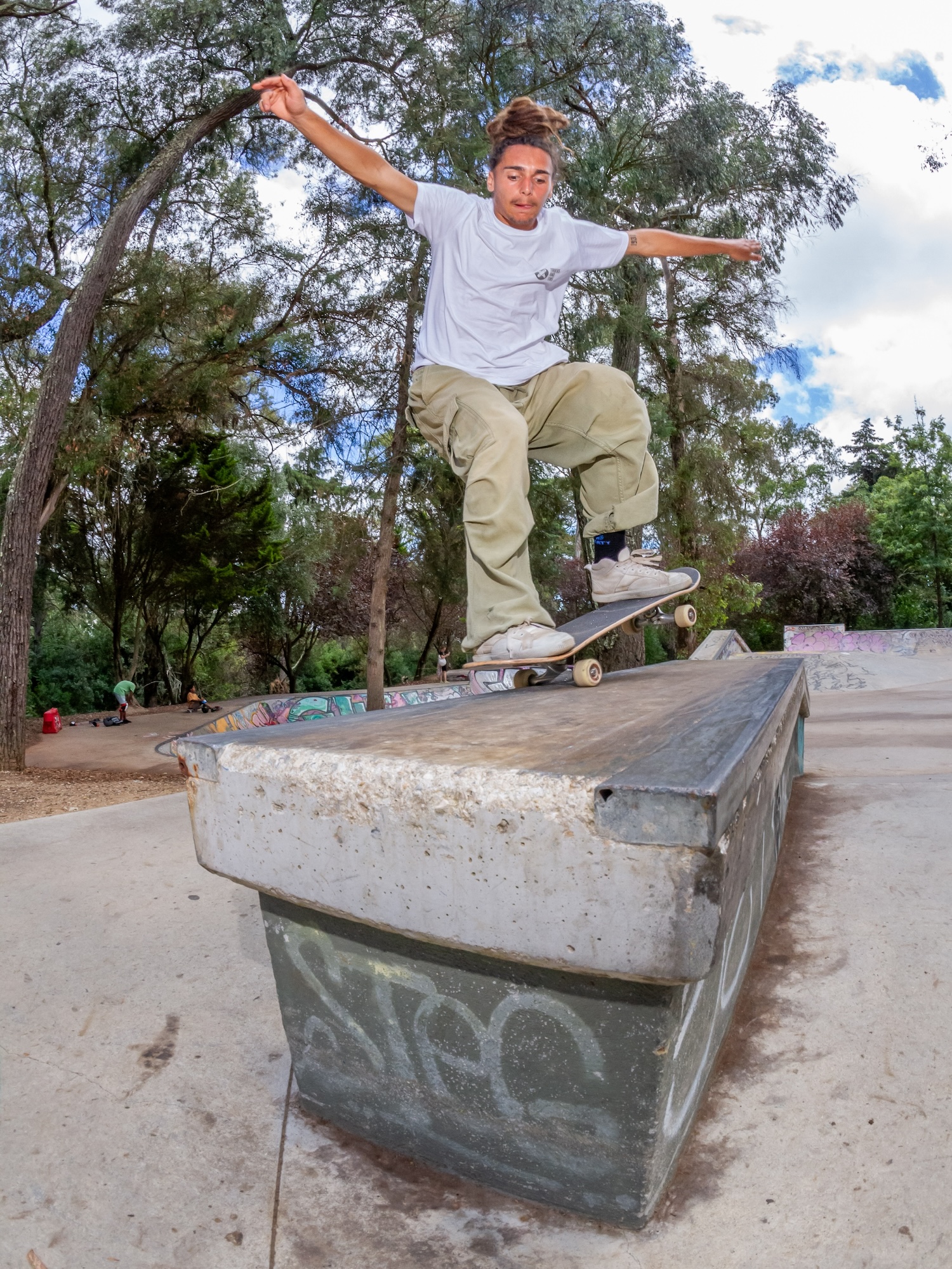 Monsanto skatepark